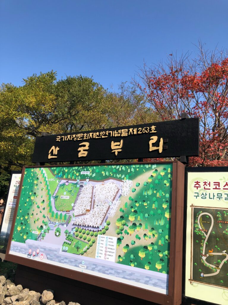 山君不離