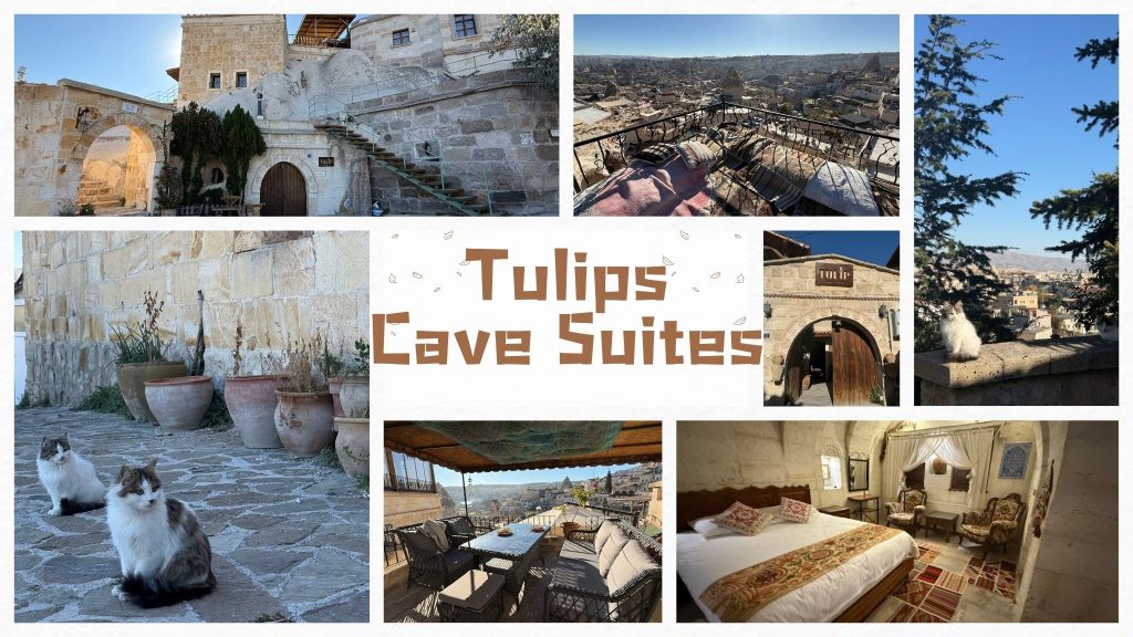 Tulips Cave Suites
