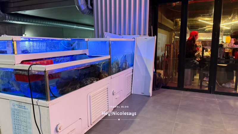 夏威夷烤扇貝하와이조개